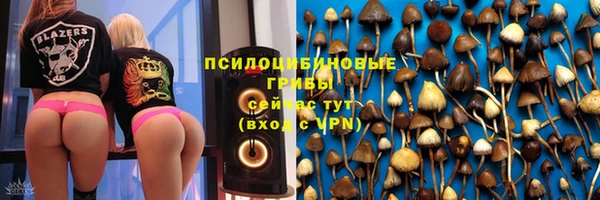 мет Осташков