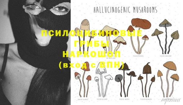 эйфоретик Няндома
