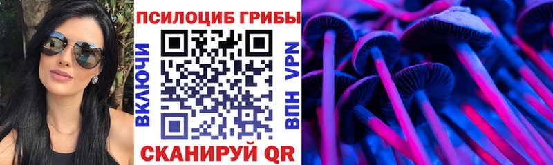 Галлюциногенные грибы GOLDEN TEACHER Лыткарино