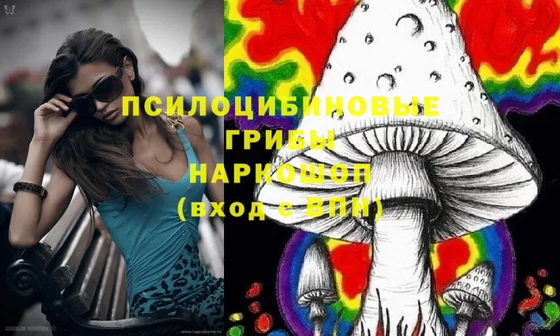 Псилоцибиновые грибы Magic Shrooms  ОМГ ОМГ вход  Лыткарино  купить наркоту 